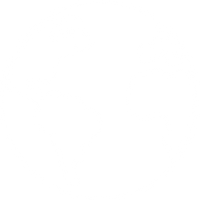 A Movement, Not Just a Brand