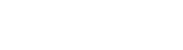 twelve Collective